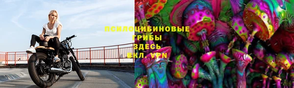 дурь Медногорск