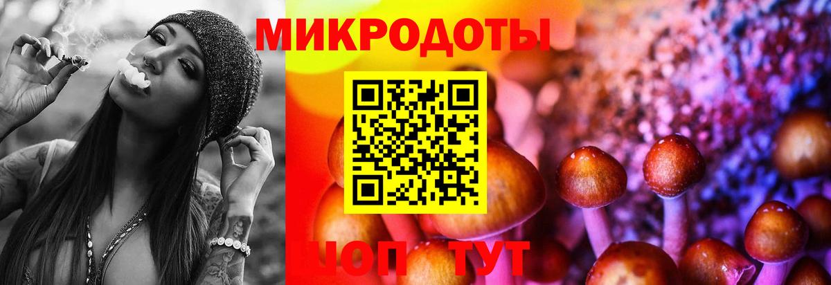 Псилоцибиновые грибы Magic Shrooms Ухта
